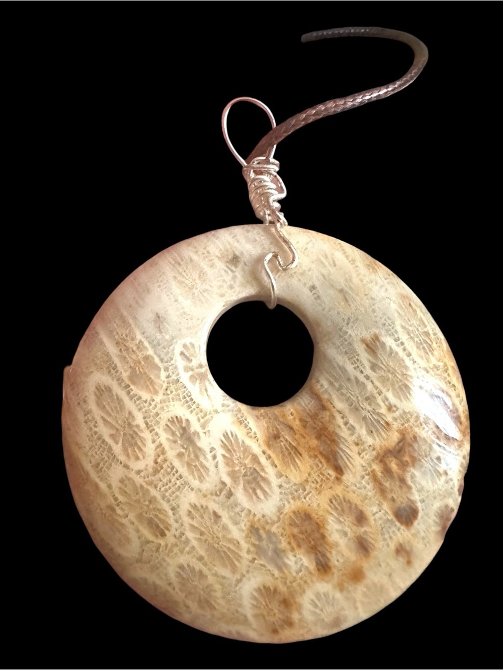 Agatized Coral Fossil